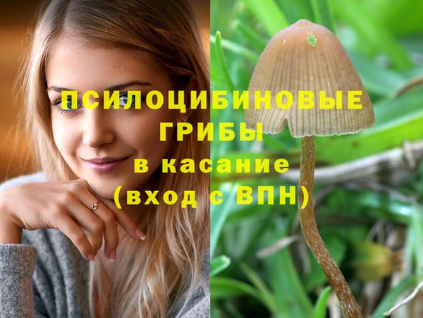 меф Богданович