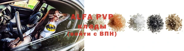 шишки Богородицк