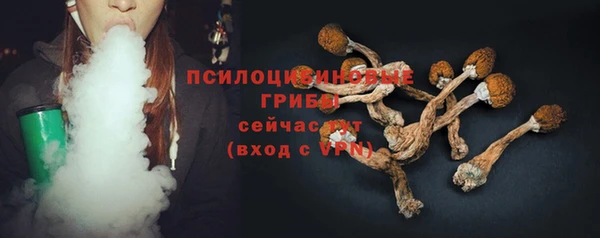 винт Верхний Тагил
