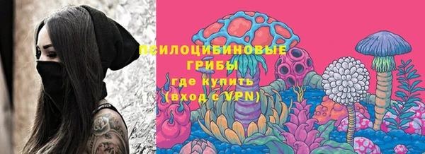 ешки Верея